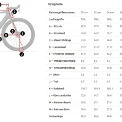 Trek Domane+ SLR 9 2023 Carbon Red Smoke -Trek-Fahrräder Geschäft Bild11N8HtYbiZAOmLb 2