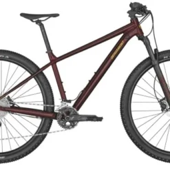 Bergamont Revox 7 2022