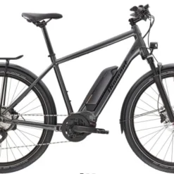 Diamant Zing+ Herren 2022