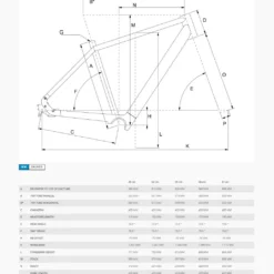 Bergamont E-Sweep Sport 2023 -Trek-Fahrräder Geschäft Bild1fCMqKvEkr4ESy