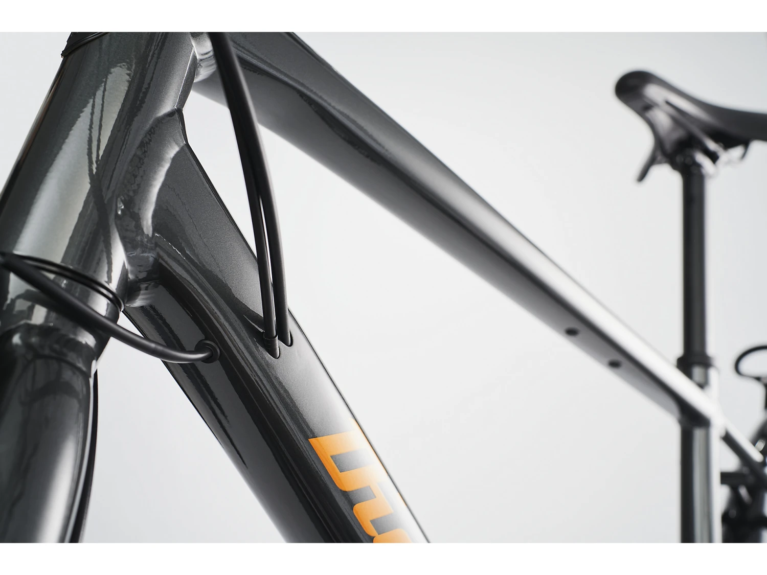 Diamant 247 Deluxe 2022 Herren 4 Diamant 247 Deluxe 2022 Herren – Bild 4