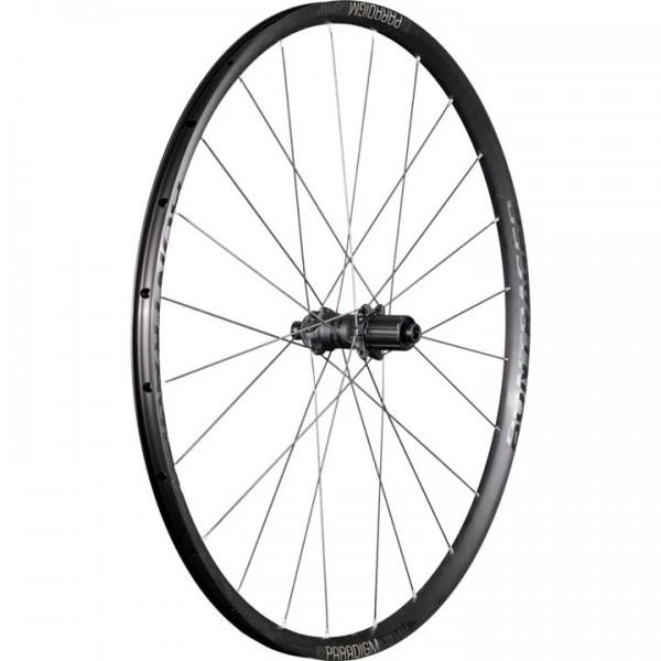 Bontrager Paradigm Comp TLR Disc Hinterrad 1 Bontrager Paradigm Comp TLR Disc Hinterrad