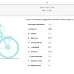 Electra Townie Commute Go! 5i EQ Step-Thru 2022 Racing Green -Trek-Fahrräder Geschäft Bild6ewUH94098IANq 2