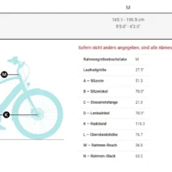 Electra Townie Path Go! 10D EQ Step-Over 2022 Black 8 Electra Townie Path Go! 10D EQ Step-Over 2022 Black -Trek-Fahrräder Geschäft Bild8Op5cp9XbhbwFt